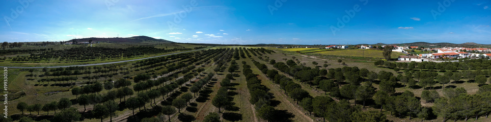 Aerial view of colorful field with a village in spring with blue sky in background. Portugal