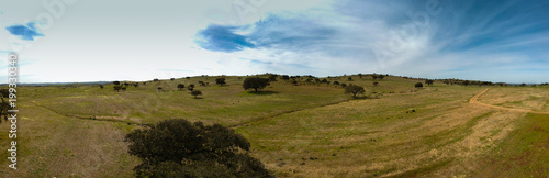 Panoramic aerial view of a landscape with cork oaks. Colorful agricultural field with blue sky in background. Portugal