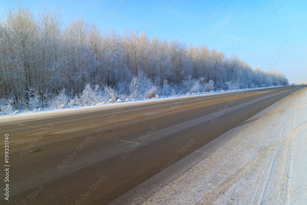 snow and frost winter time in a deciduous forest along which passes a diagonal road from asphalt snow and frost winter time in a deciduous forest along which passes a diagonal road from asphalt
