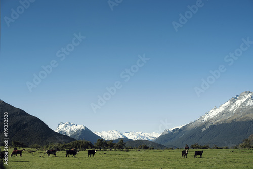 Paisaje minimalista de prado verde con vacas pasando frente a montañas nevadas y cielo azul despejado