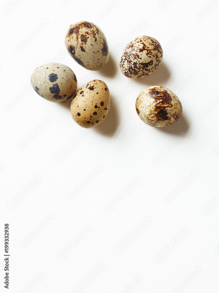 Quail Eggs Quail Eggs