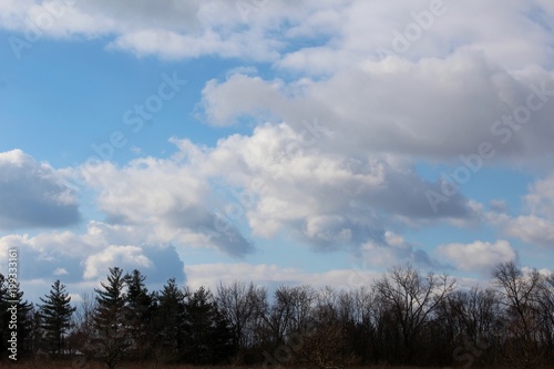 The puffy white clouds in the sky above the trees.