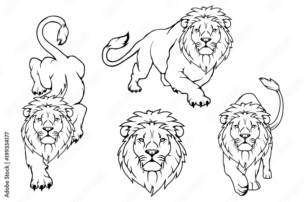 Obraz premium Set of Lion logo.Vector animal lion.King Lion isolated on white background.