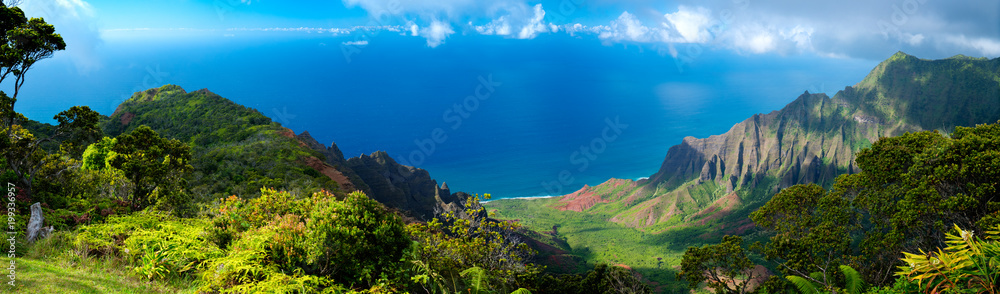 Fototapeta Hawaje Panorama Oceanu w Kauai