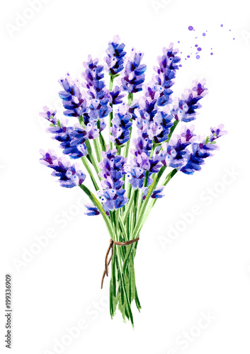 Lavender summer bouquet. Watercolor hand drawn vertical illustration  isolated on white background