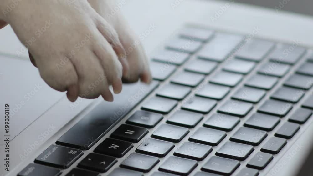 Close up paws of the dog typing text on a laptop animal business computer border house internet office technology puppy cute funny keyboard pet screen notebook Close up paws of the dog typing text on a laptop animal business computer border house internet office technology puppy cute funny keyboard pet screen notebook