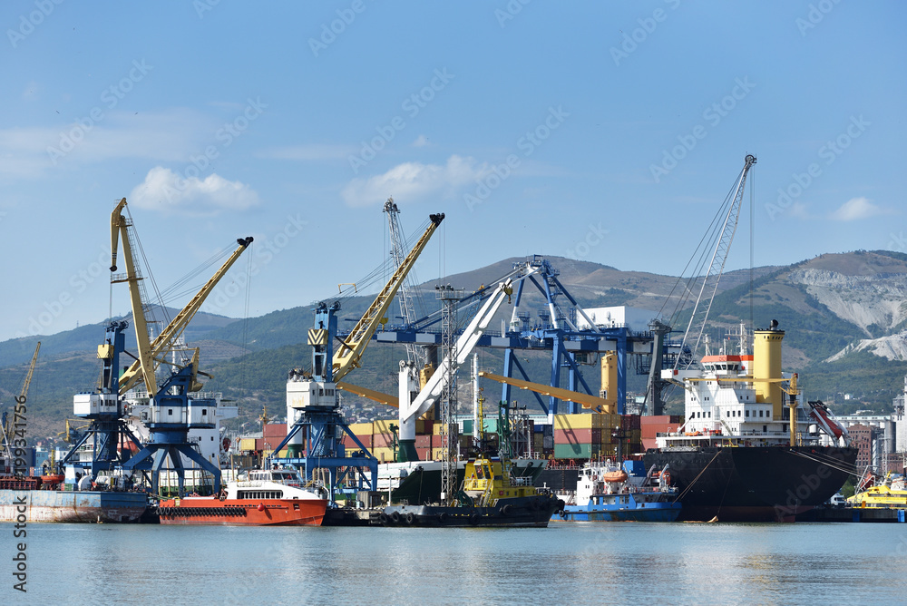 Special cranes for loading ships in the port. Loading cranes and cargo ships with containers against the background of mountains and blue sky