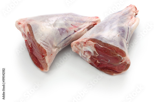 raw lamb shank isolated on white background photo