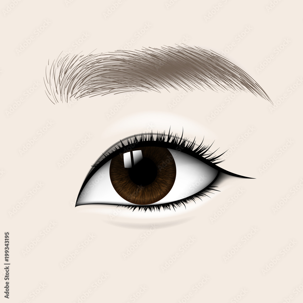 Beautiful Asian Woman Eye and Brow. Vector illustration. Stock Vector ...