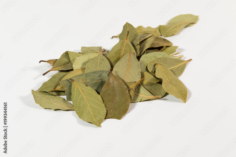 Getrocknete Lorbeerblätter auf weißem Hintergrund