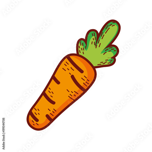 fesh healthy carrot vegetable food