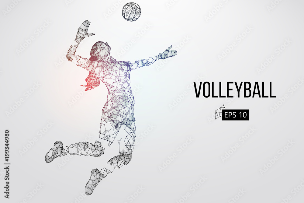 Silhouette of volleyball player. Vector illustration. Silhouette of volleyball player. Vector illustration.