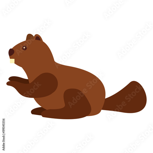 cute beaver animal character vector illustration outline