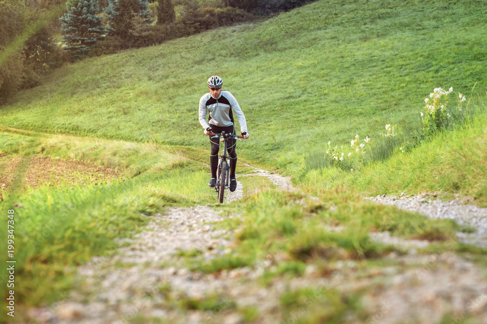 Fahrradfahrer in grüner Umgebung