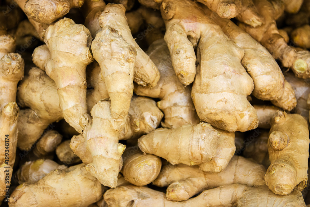 Fresh horseradish root in the store Fresh horseradish root in the store