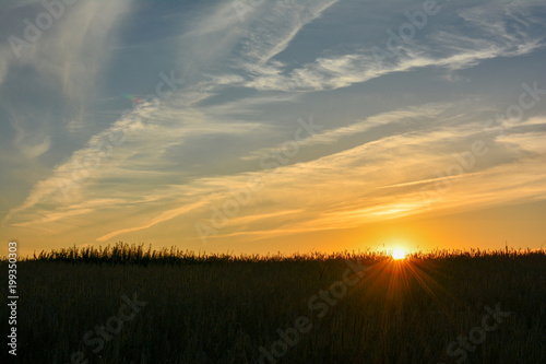 sunset in the field © Константин Климов
