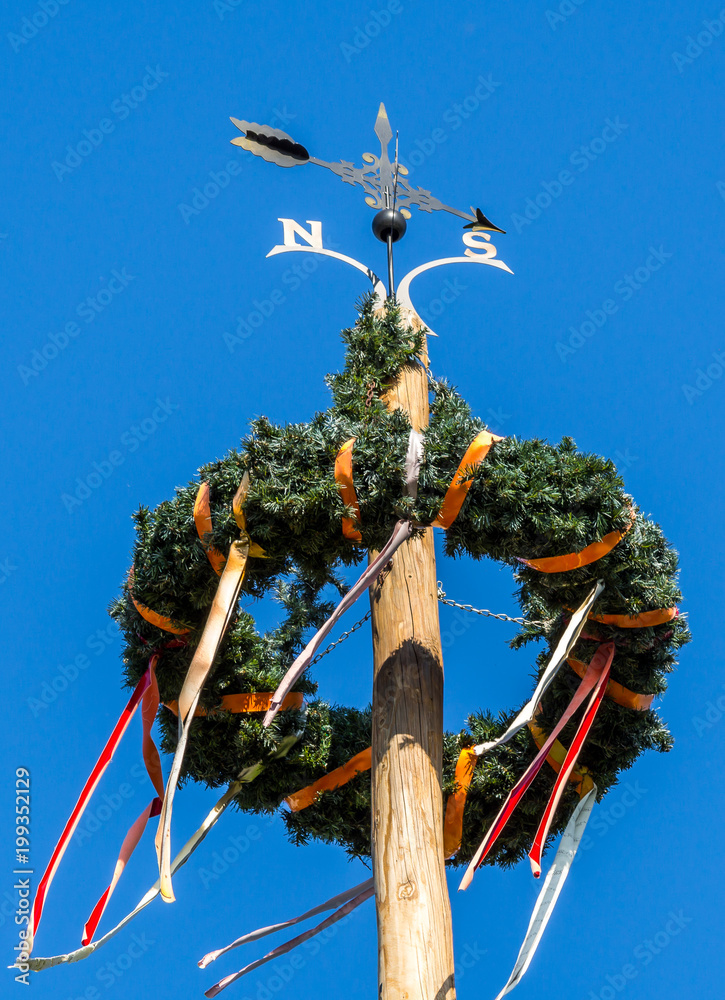Naklejka premium Maibaum im Frühling