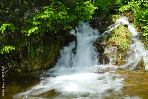 small waterfall in small river