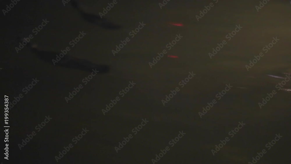 Night China fishing with cormorant Night China fishing with cormorant