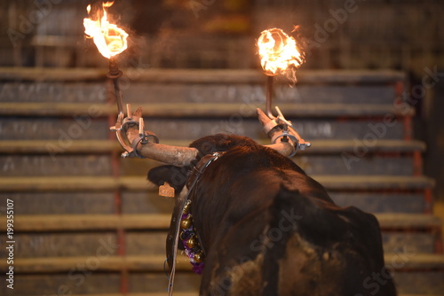 toro de fuego 