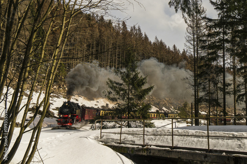 A historic steam locomotive is on its way from Wernigerode to Brocken near Schierke / Harz mountains Germany