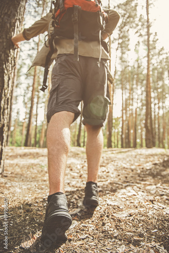Close up back view of legs of young guy is walking across the pine forest with backpack. He is discovering new places