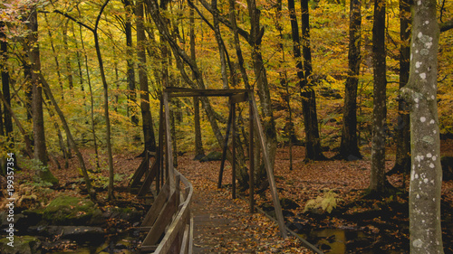 National park autumn 6