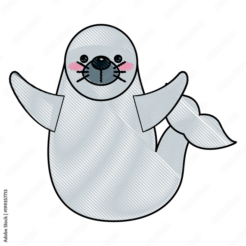 cute seal cartoon sea life marine vector illustration drawing Stock Vector  | Adobe Stock