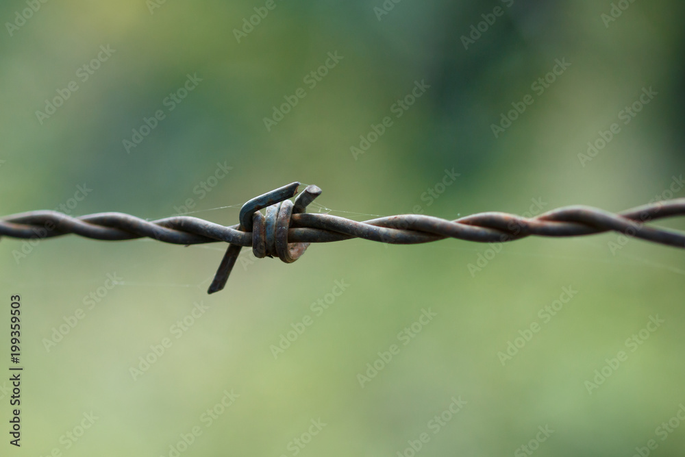 rusted old barbed wire