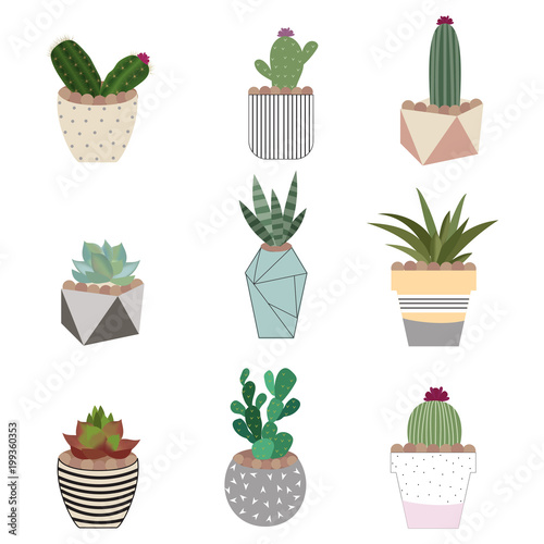 Vector set of 9 beautiful cactus and succulents. Plants in beautiful geometric pots. Vector illustration.