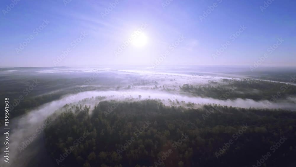 Aerial view for misty river at dawn, spans the river through the trees in the fog Aerial view for misty river at dawn, spans the river through the trees in the fog