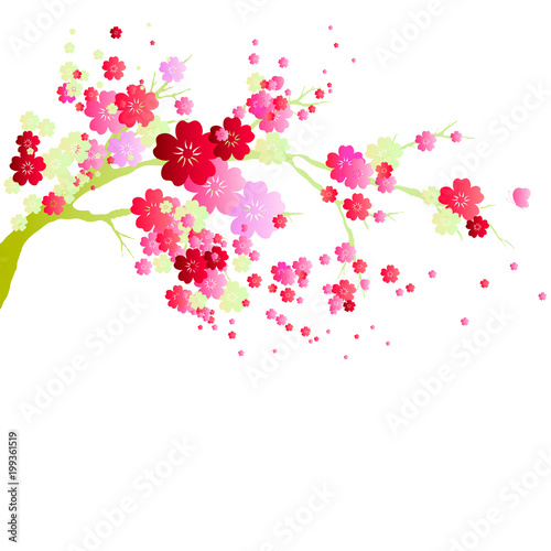 pink flowers tree, spring blossom,  on a white