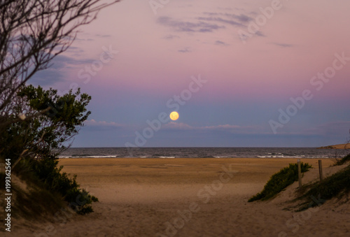 salida de la luna en la palya al atardecer photo