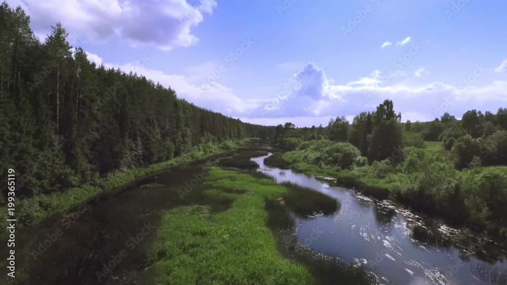 Foret river day, reflection on the water, cloud sky - Aerial view Foret river day, reflection on the water, cloud sky - Aerial view