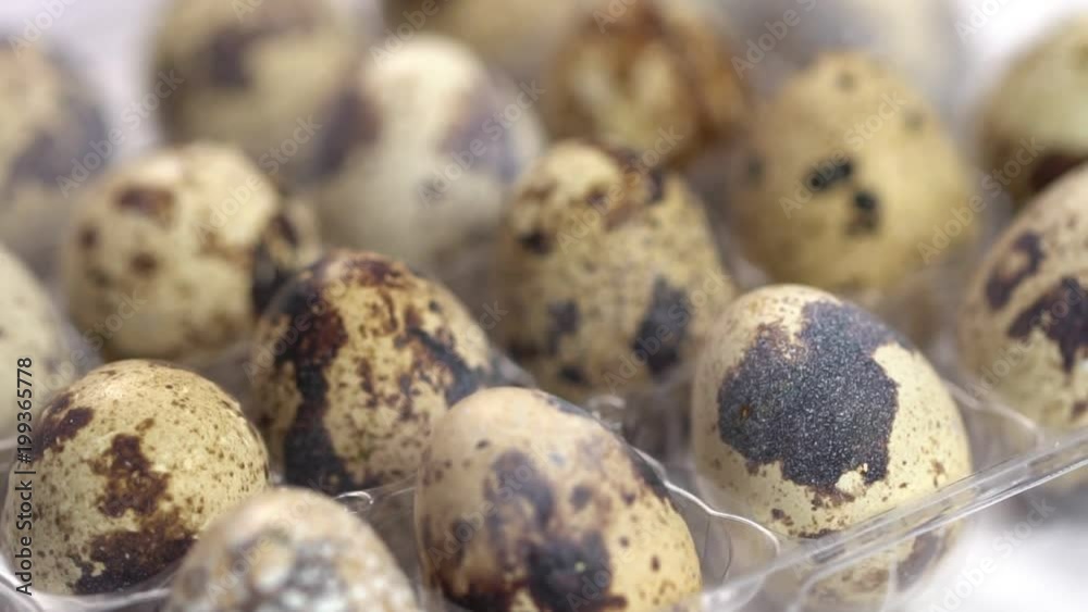 Uncooked quail eggs in pack. Rotating and closeup Uncooked quail eggs in pack. Rotating and closeup