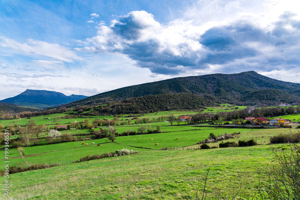 Typical Basque landscape seen from the mountain, Zalla, Spain