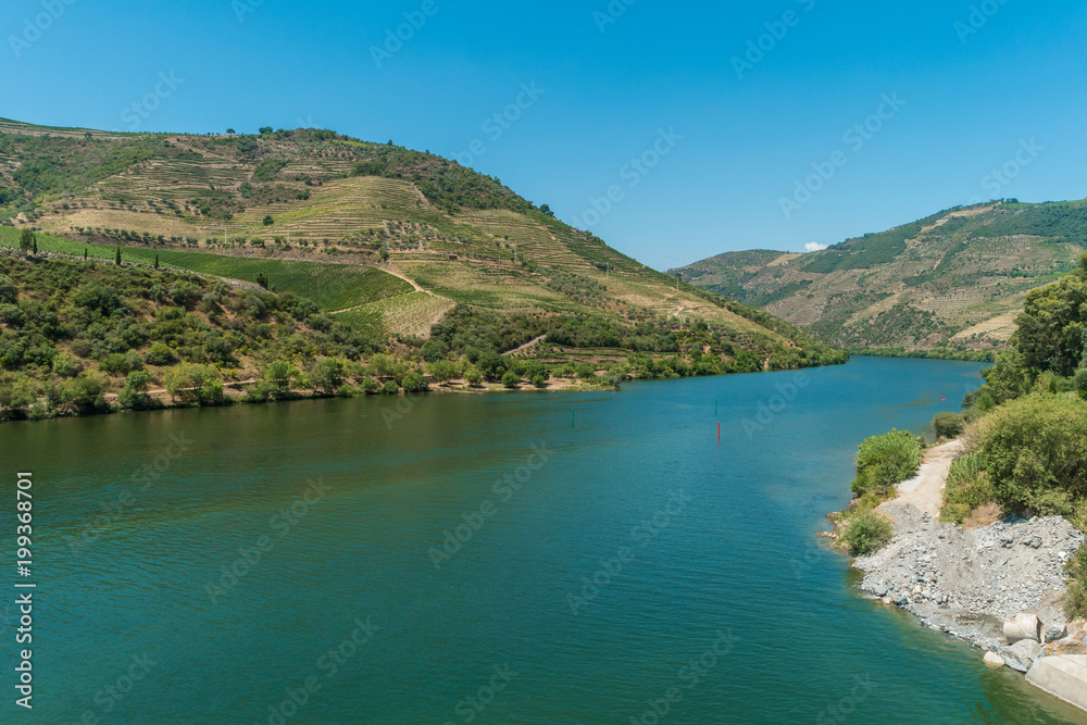 Terraced vineyards in Douro Valley Alto Douro Wine Region