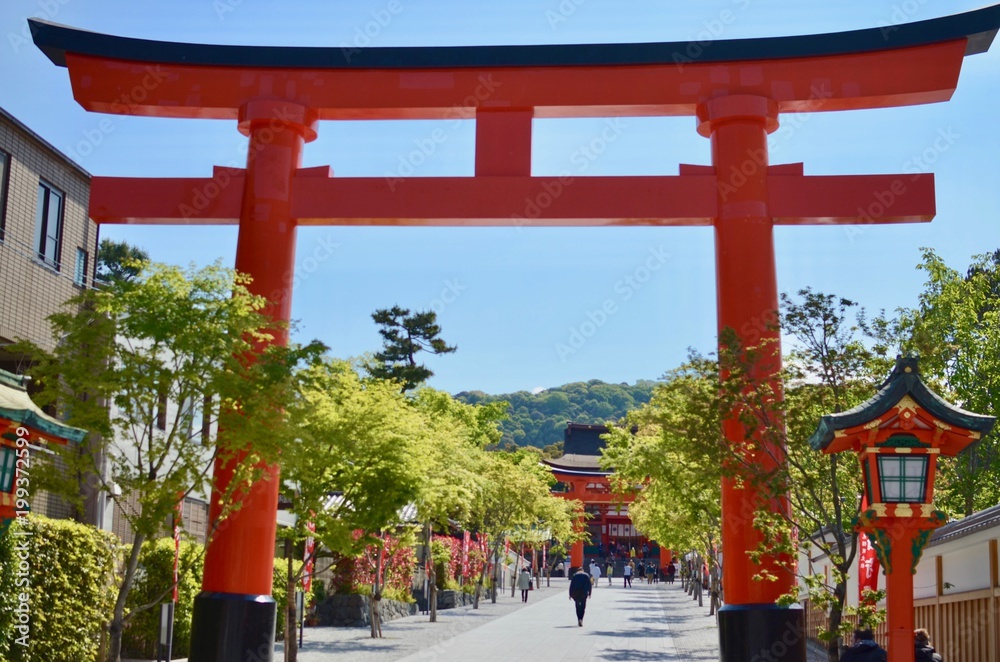 鳥居 鳥居