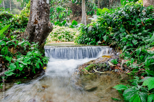 Small forest waterfall