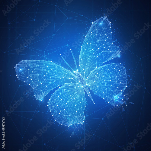 Canvas Print Polygon butterfly on blockchain technology network hud background