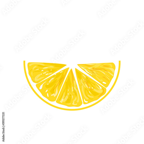 Lemon slice vector icon illustration on white background. Fresh sour vector lemon icon.