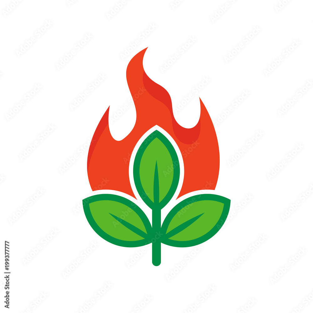Burn Nature Logo Icon Design Burn Nature Logo Icon Design