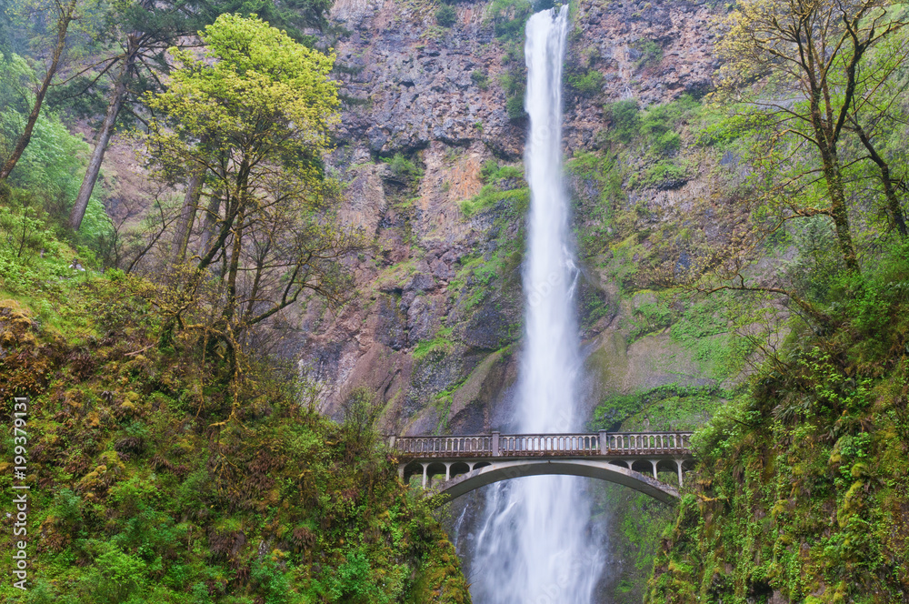 Fototapeta premium Multnomah Falls