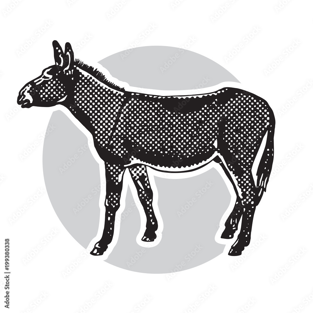 Donkey - black and white side view.
Cute farm animal in profile in engraving style. Vector illustration together with a large raster image. Donkey - black and white side view.
Cute farm animal in profile in engraving style. Vector illustration together with a large raster image.