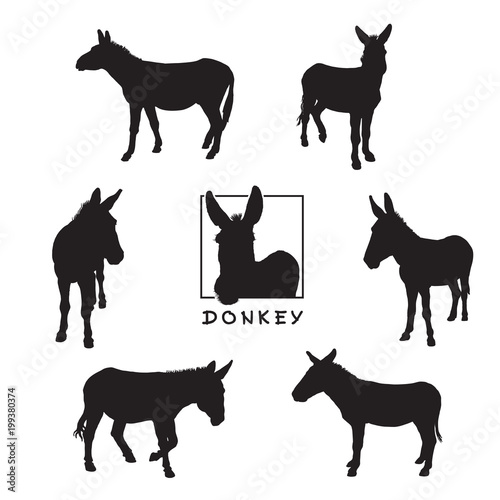 Donkey - black silhouettes isolated on white background.
Set of vector illustrations of cute farm animal together with a large raster image.