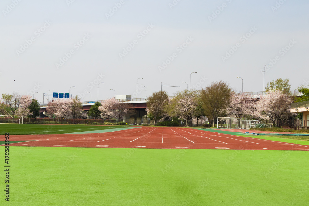 Obraz premium サッカー場と陸上競技場