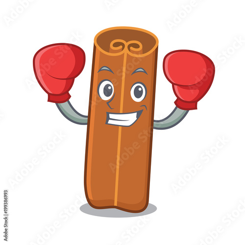 Boxing cinnamon character cartoon style