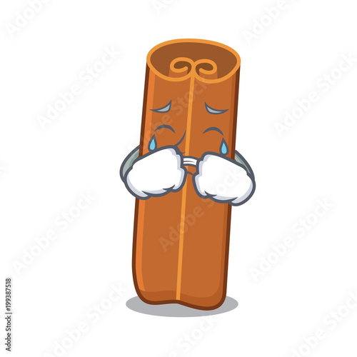 Crying cinnamon mascot cartoon style