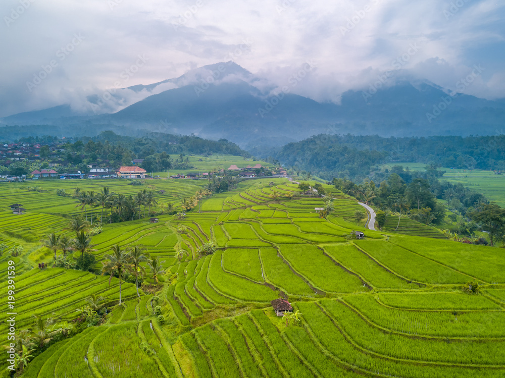 Terraces of Rice Fields and Mountains in the Clouds. Aerial View