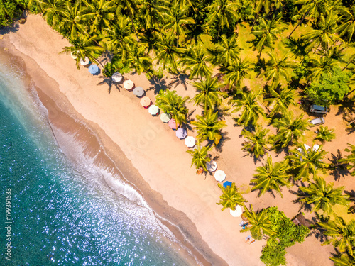 Tropical Beach and Many Palm Trees. Aerial View